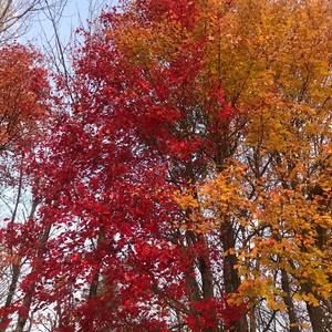 Meet your Posher, Thitapa